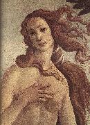 BOTTICELLI, Sandro The Birth of Venus (detail) ff Spain oil painting artist